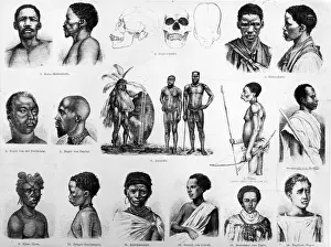 Racial Study
