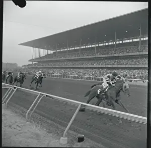 Racing Action at Aqueduct