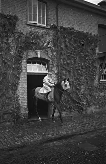 Departing Prints: Racing Colt