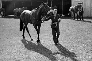 Racing Groom