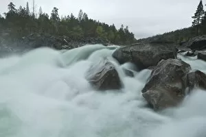Raging river, Norway, Scandinavia, Europe