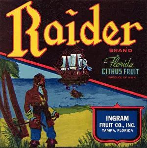 Florida Prints: Raider Brand