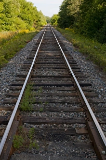 Images Dated 19th August 2011: Railway bed