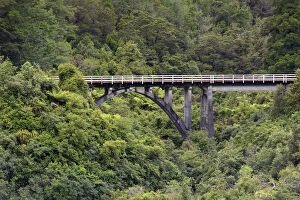 Images Dated 14th January 2013: Railway bridge in the jungle, Charleston, West Coast Region, New Zealand