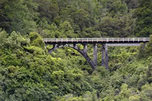 Railway bridge in the jungle, Charleston, West Coast Region, New Zealand