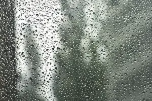 Fluids Prints: Rain drops on a window pane, blurry buildings in the back