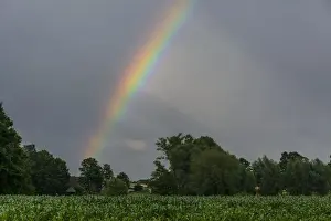 Prismatic Colors Prints: Rainbow over a cornfield, North Rhine-Westphalia, Germany