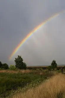 Phenomenon Prints: Rainbow over the moor, Haren, Emsland, Lower Saxony, Germany, Europe