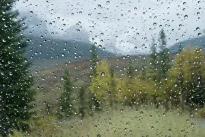 Raindrops On A Car Window