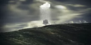 Rain Gallery: Raining in one tree, imagination landscape