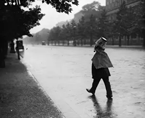 Sheltering Prints: Rainswept