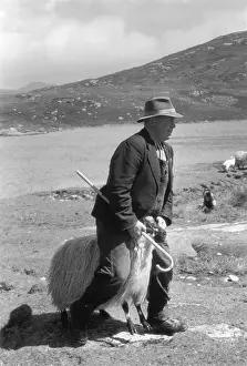 Roles And Occup Prints: Ram Riding