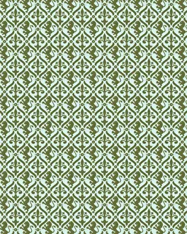 Rampant Lion and Fleur de Lis Pattern