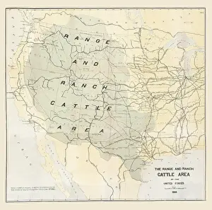 Bovine Prints: The Range and Ranch Cattle Area