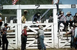 Lacgroupscandmitriupload1 Prints: RAPID CITY RODEO