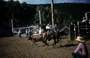 Lacgroupscandmitriupload1 Prints: RAPID CITY RODEO