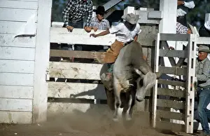 Lacgroupscandmitriupload1 Prints: RAPID CITY RODEO