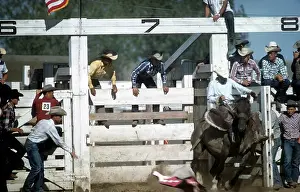 Lacgroupscandmitriupload1 Prints: RAPID CITY RODEO