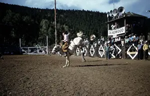 Lacgroupscandmitriupload1 Prints: RAPID CITY RODEO
