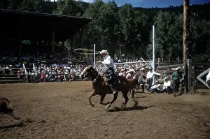 Lacgroupscandmitriupload1 Prints: RAPID CITY RODEO