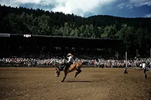 Lacgroupscandmitriupload1 Prints: RAPID CITY RODEO