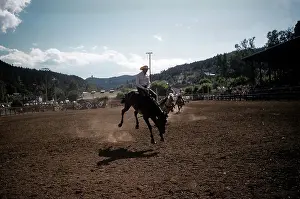 Lacgroupscandmitriupload1 Prints: RAPID CITY RODEO