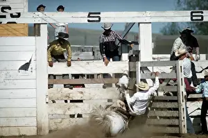 Lacgroupscandmitriupload1 Prints: RAPID CITY RODEO