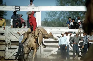 Lacgroupscandmitriupload1 Prints: RAPID CITY RODEO