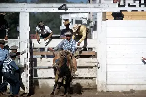 Lacgroupscandmitriupload1 Prints: RAPID CITY RODEO
