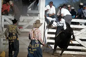 Lacgroupscandmitriupload1 Prints: RAPID CITY RODEO