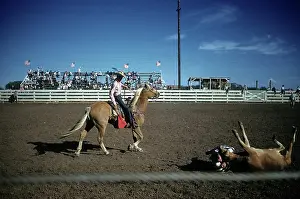 Lacgroupscandmitriupload1 Prints: RAPID CITY RODEO