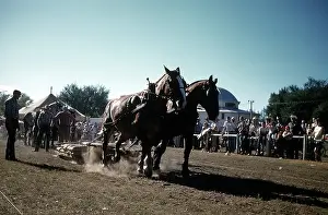 Lacgroupscandmitriupload1 Prints: RAPID CITY RODEO