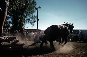 Lacgroupscandmitriupload1 Prints: RAPID CITY RODEO