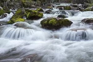 Images Dated 13th September 2014: Rapids in the river Njupan, Fulufjallet National Park, Dalarnas lan, Dalarna County, Sweden