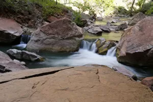 Rapids in the Virgin River, Zion Canyon National Park, Utah, USA