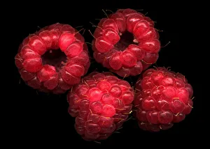 Images Dated 14th December 2009: The four raspberries