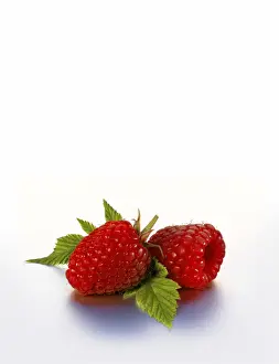 Freshly Prints: Two raspberries with leaves