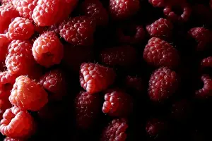 Freshly Prints: Raspberries (Rubus idaeus)