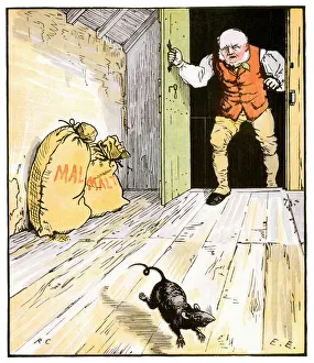 Pest Collection: This is the Rat