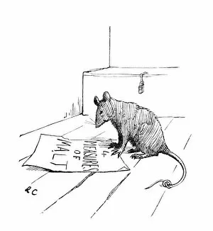 Pest Collection: Rat that ate the Malt