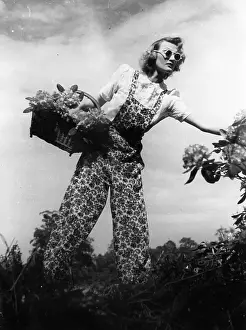 Material Prints: Ration Fashion