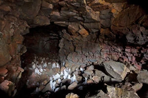 Volcano Collection: Raufarhollshellir cave, Hveragerdi, South Iceland, Iceland, Europe