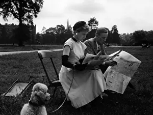 Domestic Anima Prints: Reading In The Park