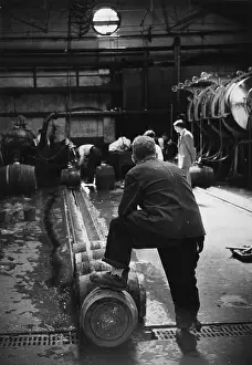 M Win Beer Processing Guinness Prints: Ready To Go
