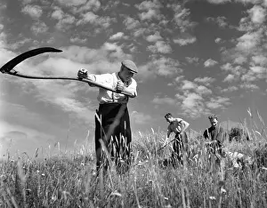Reaping