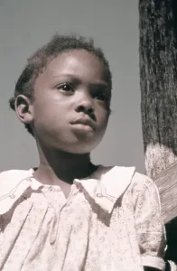 1800s Prints: Recreation Of Life On A Pre Civil War Plantation