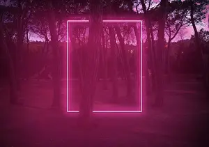 Prints of Light painting performance at night in the forest Viva Magenta Prints: Rectangle red light neon between pine trees with futuristic visual effect