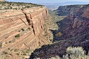 Images Dated 28th October 2011: Red Canyon, Colorado National Monument, Grand Junction, Colorado, USA