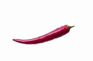Red Chili Pepper -Capsicum-