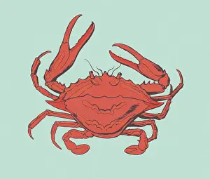 Red Crab